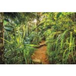 Komar 8-989 Fototapeta Jungle Trail rozměr 368 cm x 254 cm – Hledejceny.cz