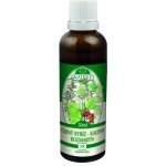 Naděje P08 Černý rybíz kalina rozmarýn 50 ml – Hledejceny.cz