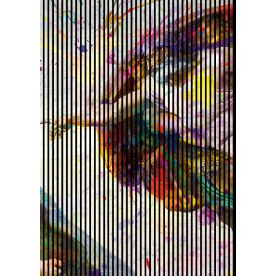 Neuhofer Designový akustický panel „Stvoření“ (Michelangelo01) Vyberte požadovaný rozměr: NR. 4: 1693 x 2400 mm (3 panely) – Hledejceny.cz