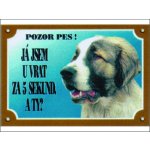 Dafiko Tabulka kavkazský ovčák – Zboží Dáma