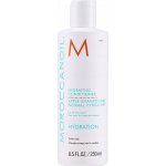Moroccanoil Hydrating Conditioner 250 ml – Zboží Dáma
