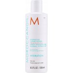 Moroccanoil Hydrating Conditioner 250 ml – Zboží Mobilmania