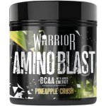 Warrior Amino Blast 270 g – Zbozi.Blesk.cz