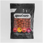 SQUAT CARP Hotové boilies big boss 1 kg 20 mm – Hledejceny.cz