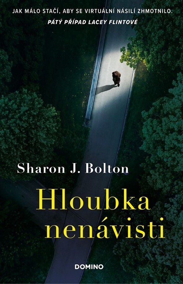 Hloubka nenávisti - Bolton Sharon J. od 332 Kč - Heureka.cz