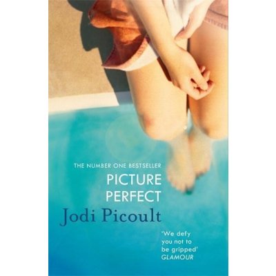 Picture Perfect - J. Picoult – Zboží Mobilmania