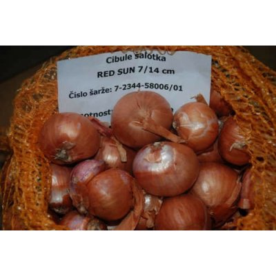 Cibule sazečka šalotka Red Sun 1 kg – Zboží Dáma