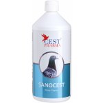CEST PHARMA SANOCEST 1 L – Hledejceny.cz