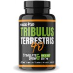 Warrior Tribulus Terrestris 40% 100 tablet – Hledejceny.cz