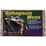 Lucky Reptile Sphagnum Moos rašeliník 100 g – Zboží Dáma