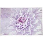 Kleine Wolke Dahlia bílá 120x70 cm – Zboží Mobilmania