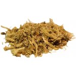 Salvia Paradise Lékořice kořen 50 g – Sleviste.cz