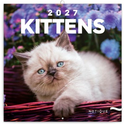 NOTIQUE Grid Kittens 30 x 30 cm 2027 – Hledejceny.cz