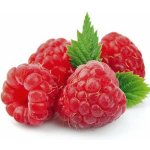 Dr.Hlaváč Bio malinový Džem 5 kg – Zboží Dáma