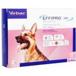 Effipro Duo Spot-on Dog L 20-40 kg 4 x 2,68 ml – HobbyKompas.cz