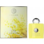 Amouage Love Mimosa parfémovaná voda dámská 100 ml – Hledejceny.cz