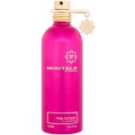 Montale Pink Extasy parfémovaná voda dámská 100 ml – Hledejceny.cz