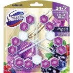 Domestos Aroma Lux Hibiscus oil&Wild Berries tuhý WC blok 3 x 55 g – Zboží Dáma