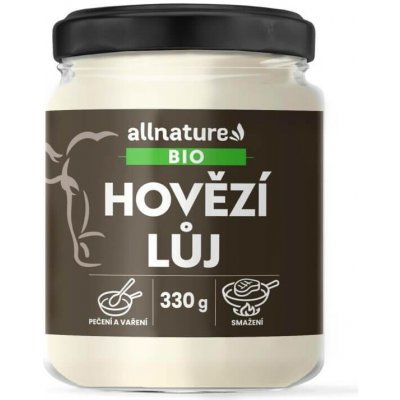 Allnature Kombucha zázvor BIO 330 ml – Hledejceny.cz