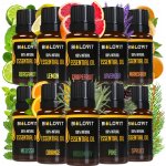 Bilovit Sada éterických olejů 10 x 10 ml – Hledejceny.cz