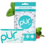 Pür žvýkačky s xylitolem Peppermint 55 ks – Zboží Dáma