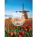 Herlitz Notýsek A6 tvrdé desky Linkovaný – Zboží Mobilmania