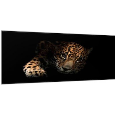 Obraz skleněný portrét ležící leopard - 50 x 70 cm