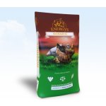 Energys Nosnice Repro granule 25 kg – Hledejceny.cz