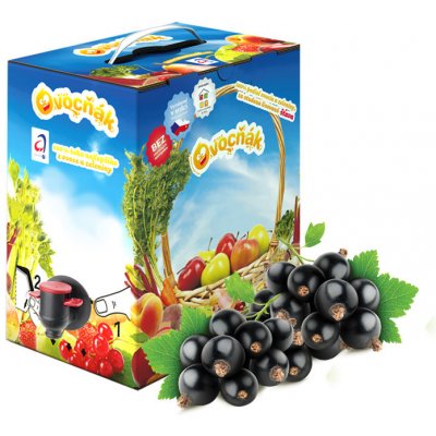 Ovocňák rybízový mošt 5L – Zboží Dáma