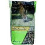 Energys Dynamix müsli 20 kg – Hledejceny.cz