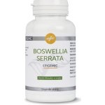 Epigemic Boswellia Serrata Epigemic 90 kapslí – Hledejceny.cz