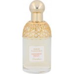 Guerlain Aqua Allegoria Mandarine Basilic toaletní voda dámská 75 ml – Hledejceny.cz