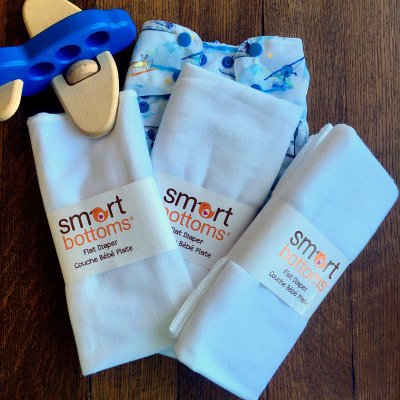 Smart Bottoms FLAT Diaper Large