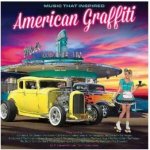 Various - Music That Inspired American Graffiti LP – Hledejceny.cz