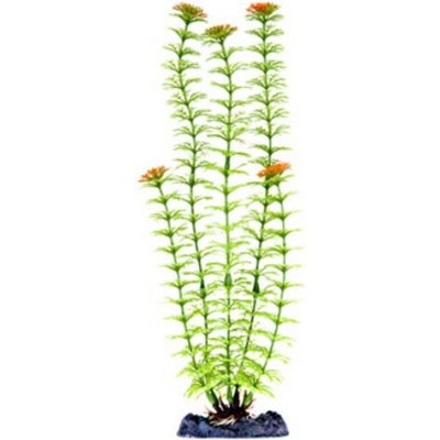 Penn Plax Plant-XL Ambulia 33 cm