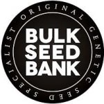 Bulk Seed Bank AUTO Bubblegum Extra semena neobsahují THC 10 ks – Hledejceny.cz