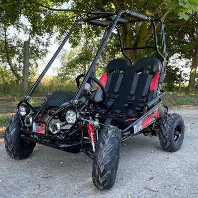 Leramotors Buggy PREDATOR 170ccm AUTOMAT – Hledejceny.cz