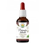 Salvia Paradise Právenka latnatá AF tinktura 50 ml – Hledejceny.cz