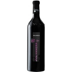 Polvanera Aglianico Puglia IGT Organic 2019 14% 0,75 l (holá láhev)