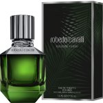 Roberto Cavalli Paradise Found toaletní voda pánská 50 ml – Hledejceny.cz