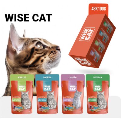 Wise Cat Set 2 pro kočky a koťata 48 x 100 g