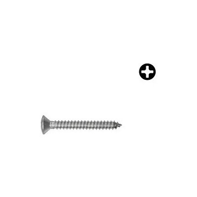 Šroub DIN 7983C ocel 3,9x22 ZB – Hledejceny.cz