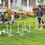 PawHut Agility překážky pro psy bílé – Hledejceny.cz
