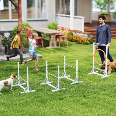 PawHut Agility překážky pro psy bílé – Hledejceny.cz