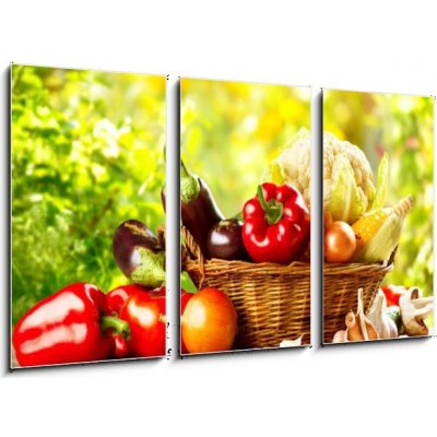 Obraz 3D třídílný - 90 x 50 cm - Fresh Organic Bio Vegetable in a Basket over Nature Background Čerstvé organické bio zeleniny v koši nad přírodou pozadí – Zbozi.Blesk.cz