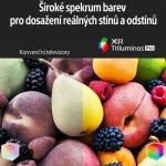 Sony Bravia XR-85X95K – Zboží Mobilmania