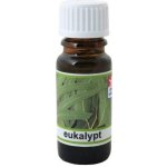 Saloos esenciální olej Eukalypt (Austrálie) obsah 10 ml – Zboží Dáma
