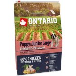 Ontario Puppy & Junior Large Chicken & Potatoes & Herbs 2,25 kg – Hledejceny.cz
