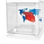 Cat-Gato Betarium Betta kit world map 2 l – Zboží Mobilmania