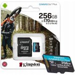 Kingston SDXC Class 10 256 GB SDG3/256GB – Zboží Živě